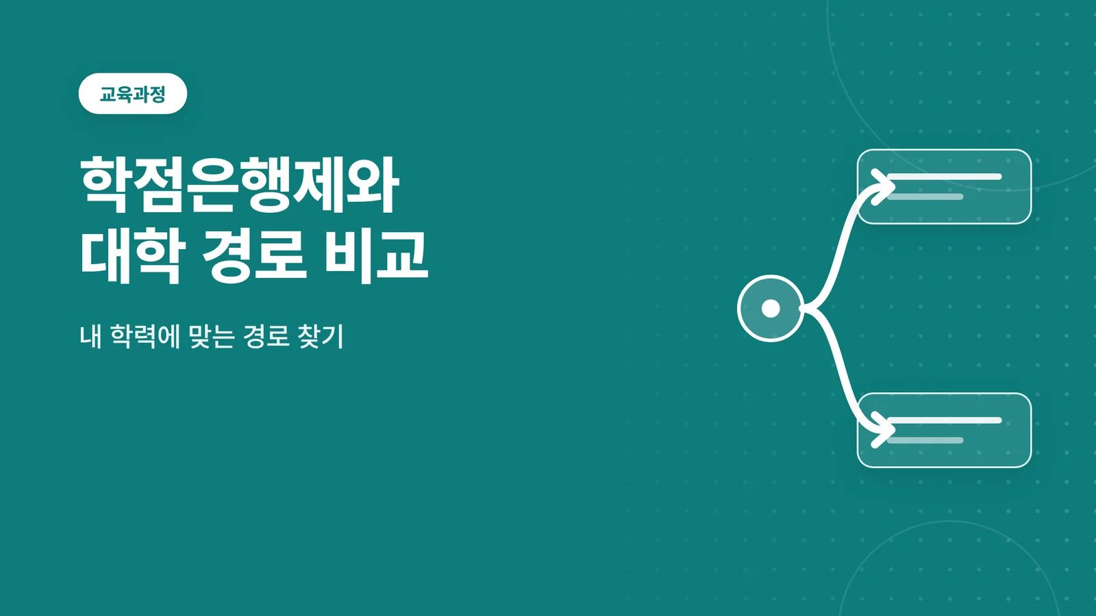 교육과정 안내 — 학점은행제와 대학 경로 비교